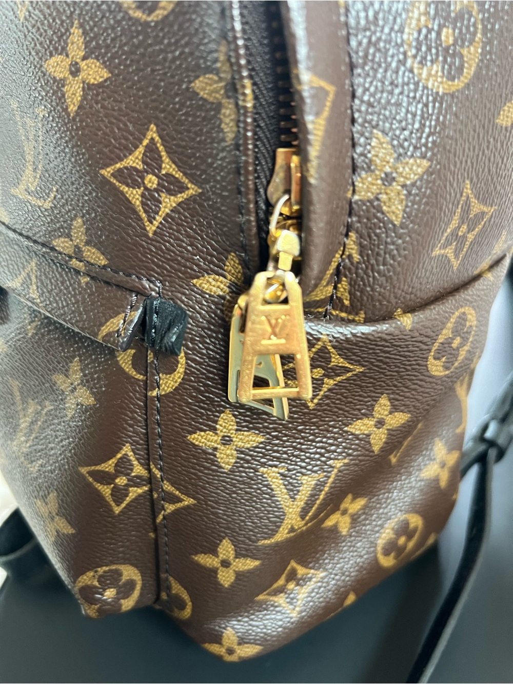 Louis Vuitton Monogram Palm Springs PM Backpack - Picture 7 of 16